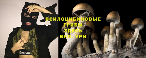 мдпв Володарск