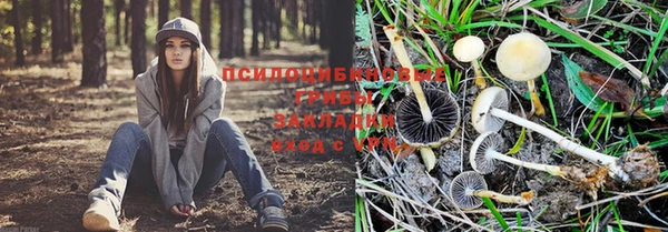 первитин Волосово