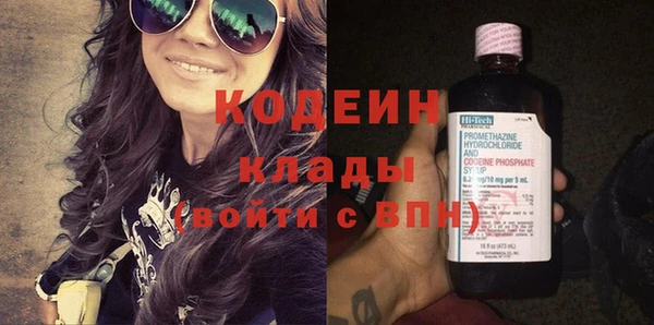 прущие грибы Верея