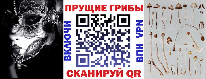 маркетплейс клад Карабаш Псилоцибиновые грибы мухоморы